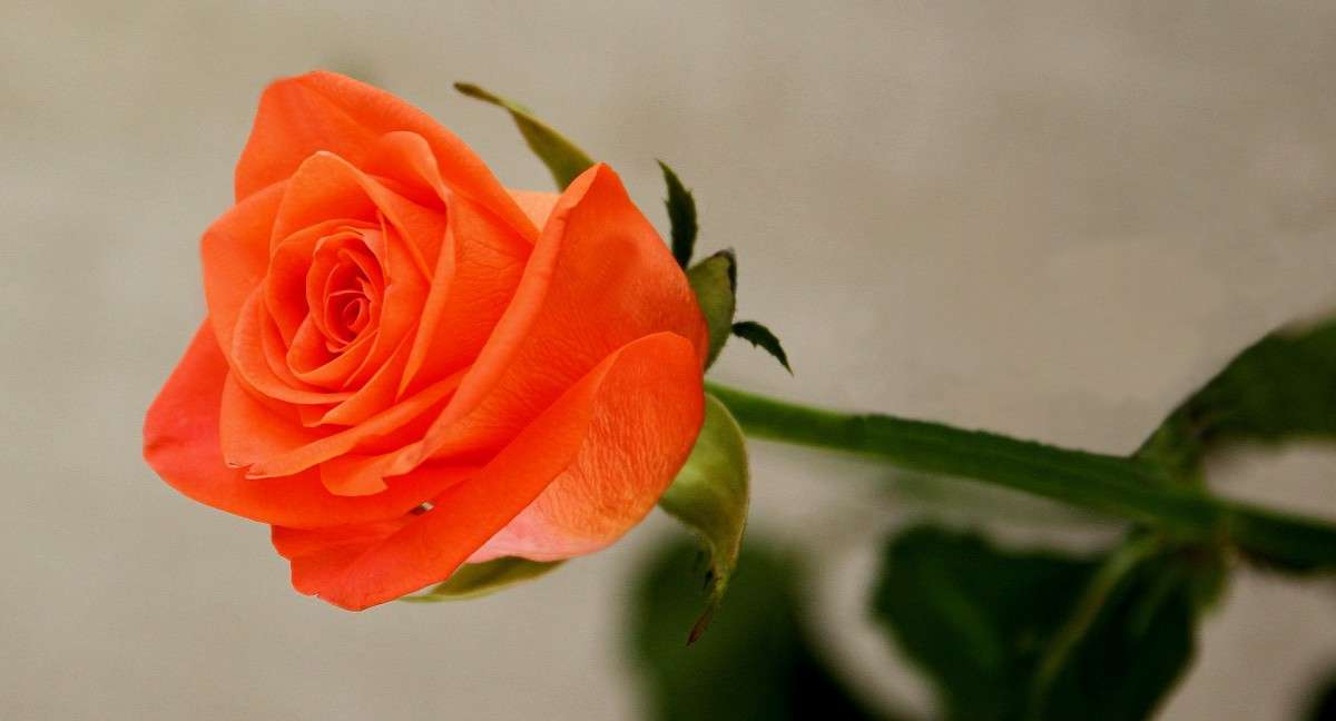 ... ����� �������  �� PhotoGeek.ru #������ ��� �������