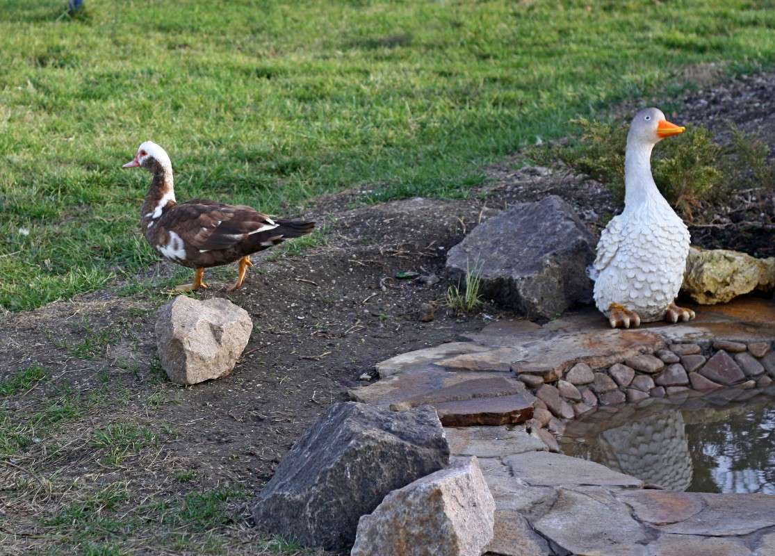 �� � �����....���������...����... ����� �������  �� PhotoGeek.ru #�������� ����������