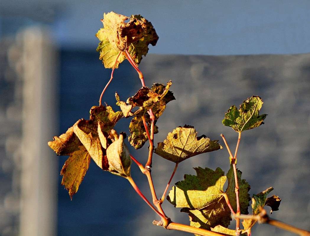 ... ����� �������  �� PhotoGeek.ru #������ ��� �������