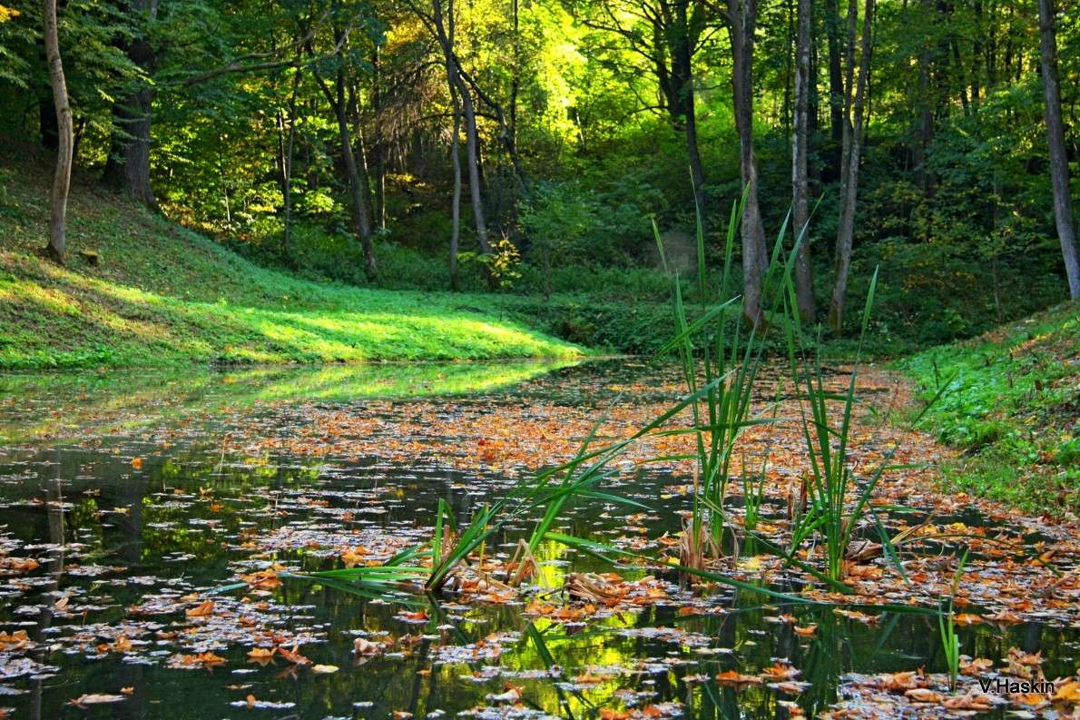 ������ ����� �������  �� PhotoGeek.ru #������ ��� �������