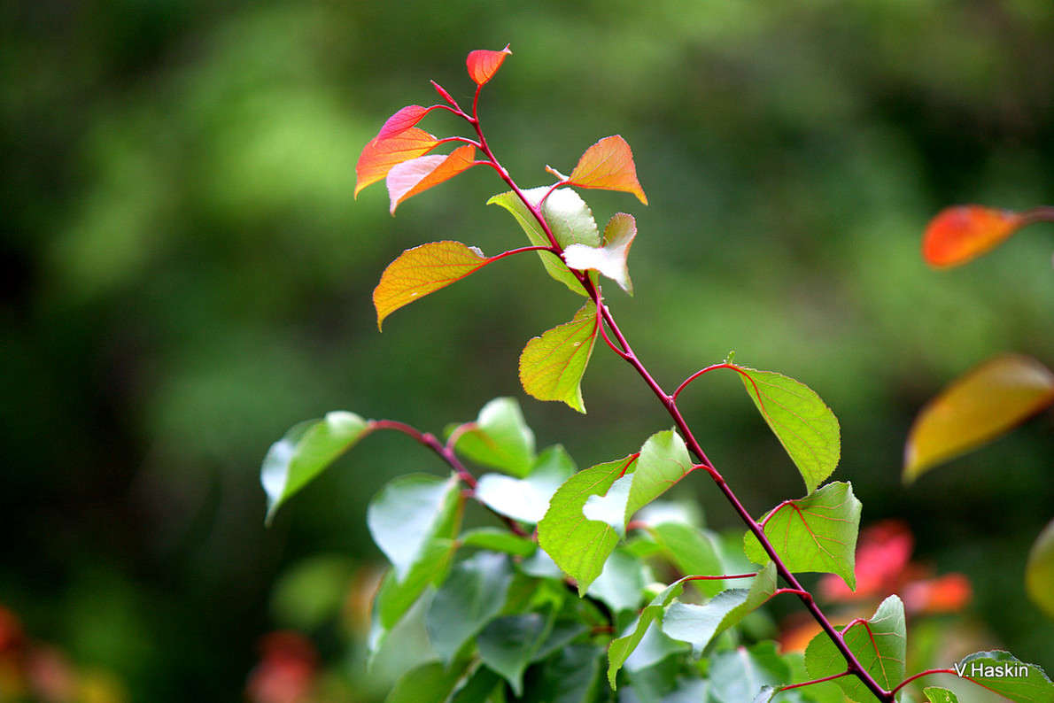 ... ����� �������  �� PhotoGeek.ru #������ ��� �������