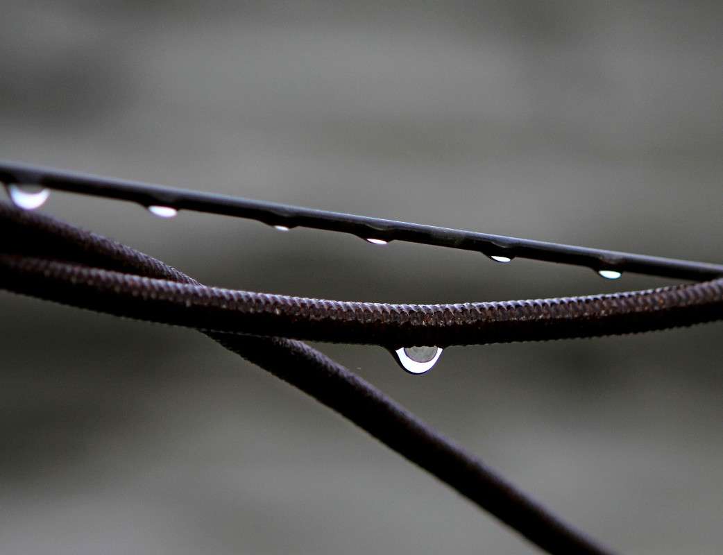 ���� ����� �������  �� PhotoGeek.ru #������ ��� �������