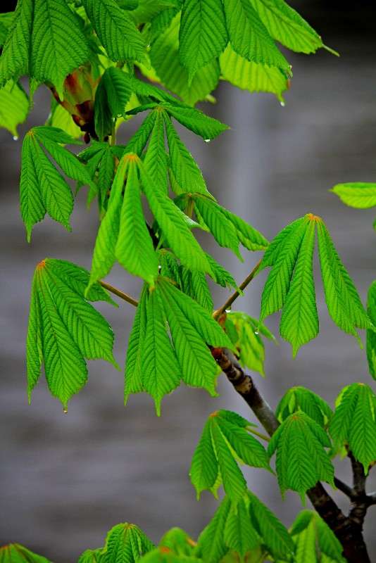 ... ����� �������  �� PhotoGeek.ru #������ ��� ������� #����� ��������������