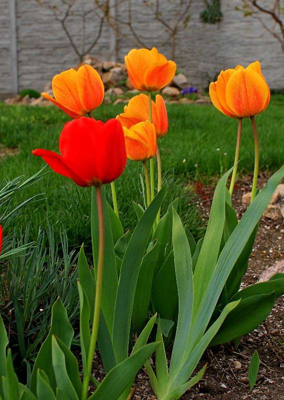 ... ����� �������  �� PhotoGeek.ru #������ ��� �������