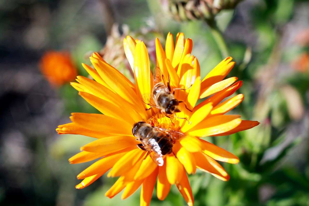 ... ����� �������  �� PhotoGeek.ru #����� #����� ��������������