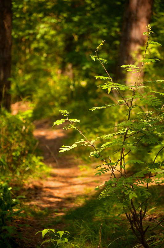 �� ������ �������� ����� �������� ���������� �� PhotoGeek.ru #������ ��� ������� #����� ��������������