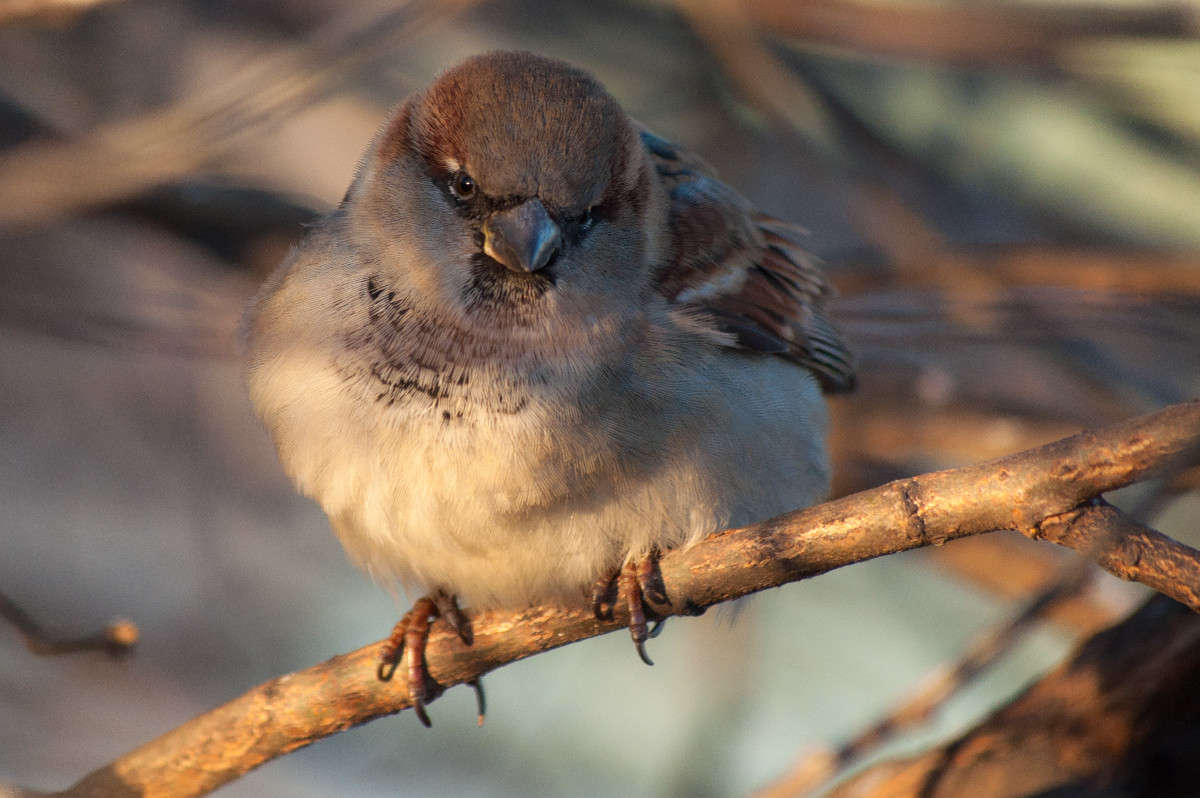 ������� ����� �������� ���������� �� PhotoGeek.ru #�������� ��� #������ ��� �������