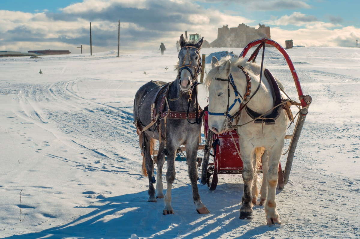 ������ ������� ����� �������� ���������� �� PhotoGeek.ru #�������� ���������� #���������������