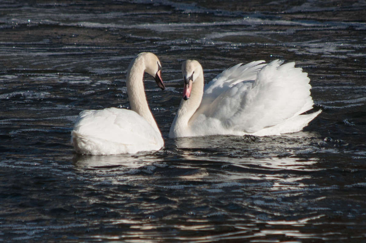 ��������� �������� ����� �������� ���������� �� PhotoGeek.ru #�������� ��� #����� ��� ��� ���������