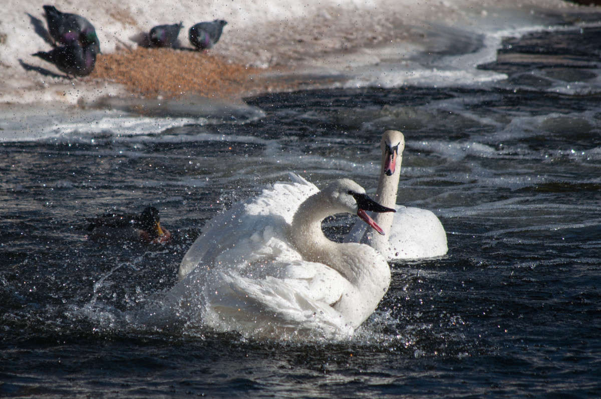 ������ ��������� ����� �������� ���������� �� PhotoGeek.ru #�������� ��� #����� ��� ��� ���������