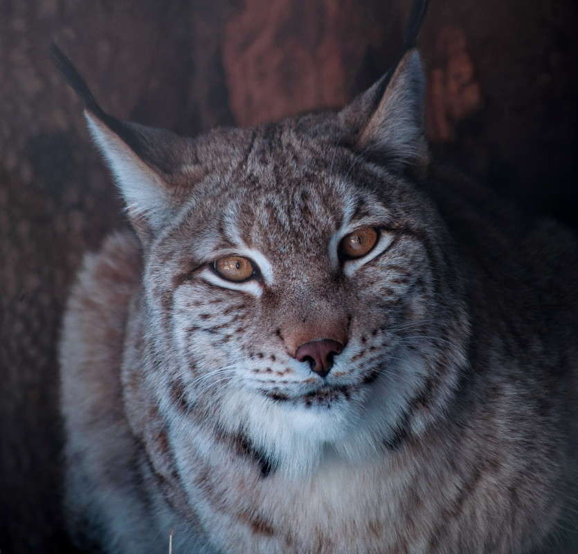 ���� ����� �������� ���������� �� PhotoGeek.ru #�������� ��� #����� ��� ��� ���������