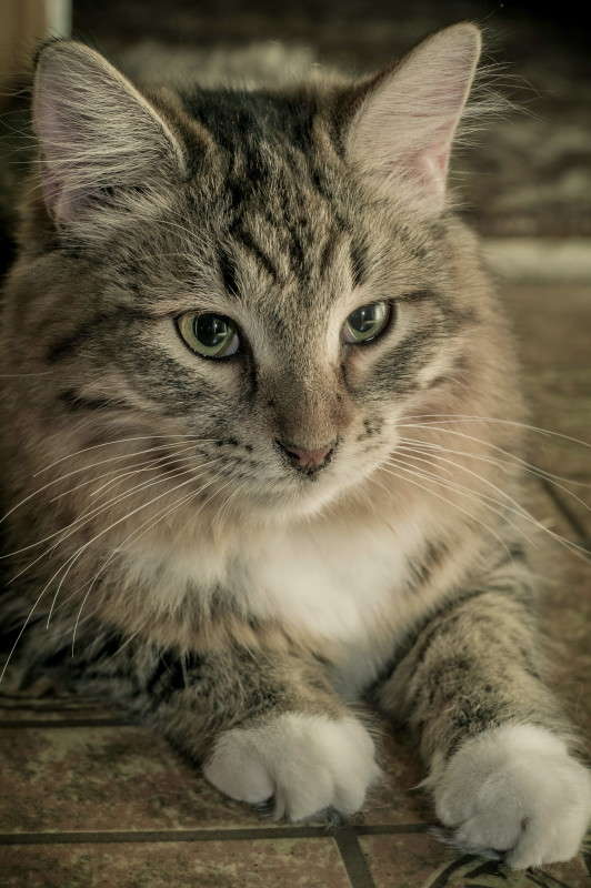 ����� ����� �������� ���������� �� PhotoGeek.ru #�������� ���