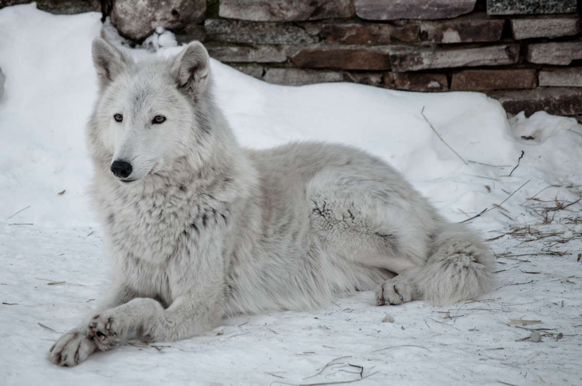 ����� ���� ����� �������� ���������� �� PhotoGeek.ru #�������� ��� #����� ��� ��� ���������