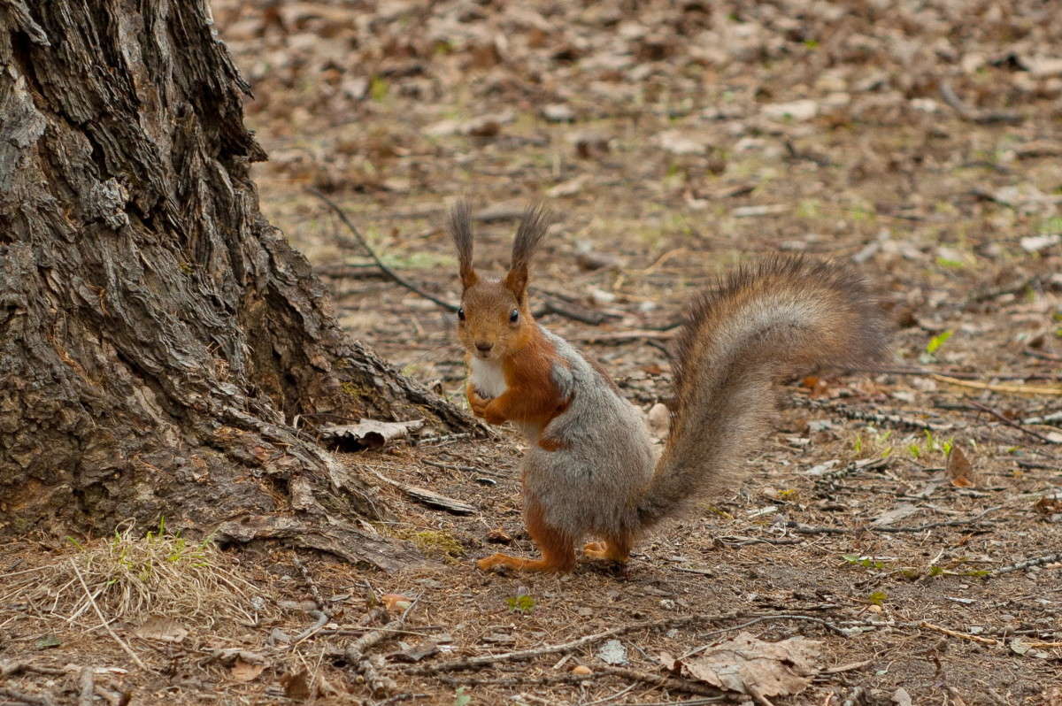 � �������, ������! ����� �������� ���������� �� PhotoGeek.ru #�������� ��� #����� ��� ��� ���������