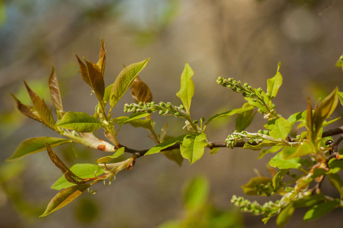 ����������� ������� ����� �������� ���������� �� PhotoGeek.ru #������ ��� ������� #����� ��������������