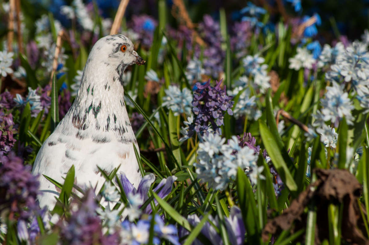 ������� ����� �������� ���������� �� PhotoGeek.ru #�������� ��� #����� ��� ��� ���������