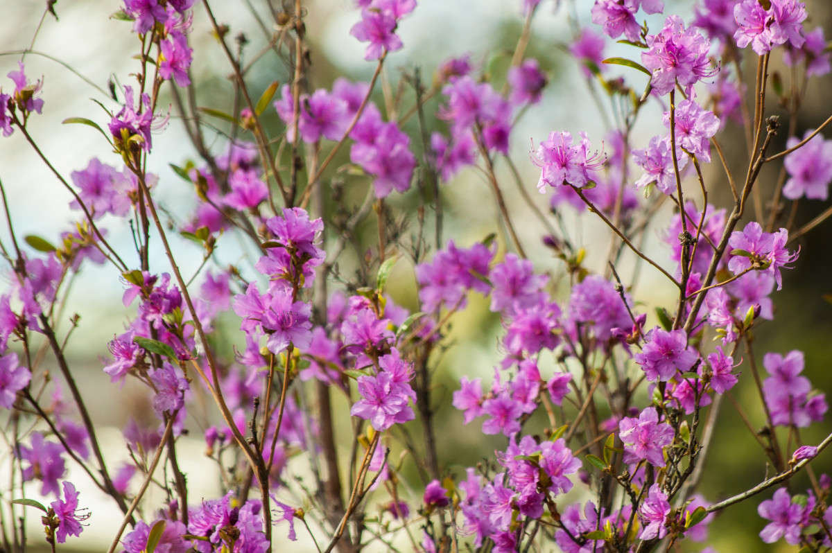 ����������� ������ ����� �������� ���������� �� PhotoGeek.ru #������ ��� ������� #����� ��������������