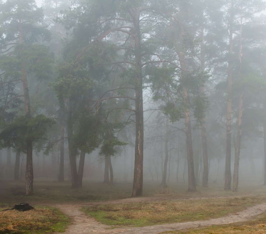 ���� �������� ����� �������� ���������� �� PhotoGeek.ru #������ ��� ������� #����� ��������������