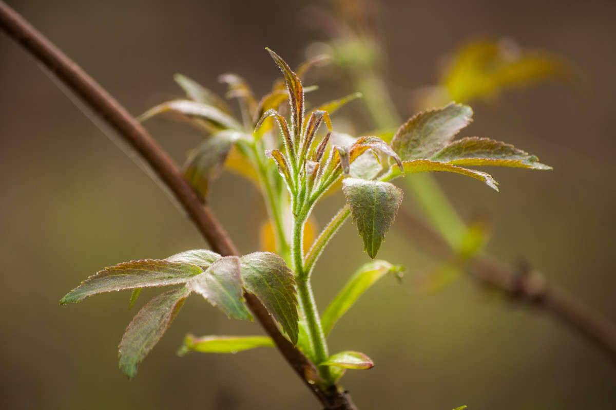 ����������� ����� �������� ���������� �� PhotoGeek.ru #������ ��� ������� #����� ��������������