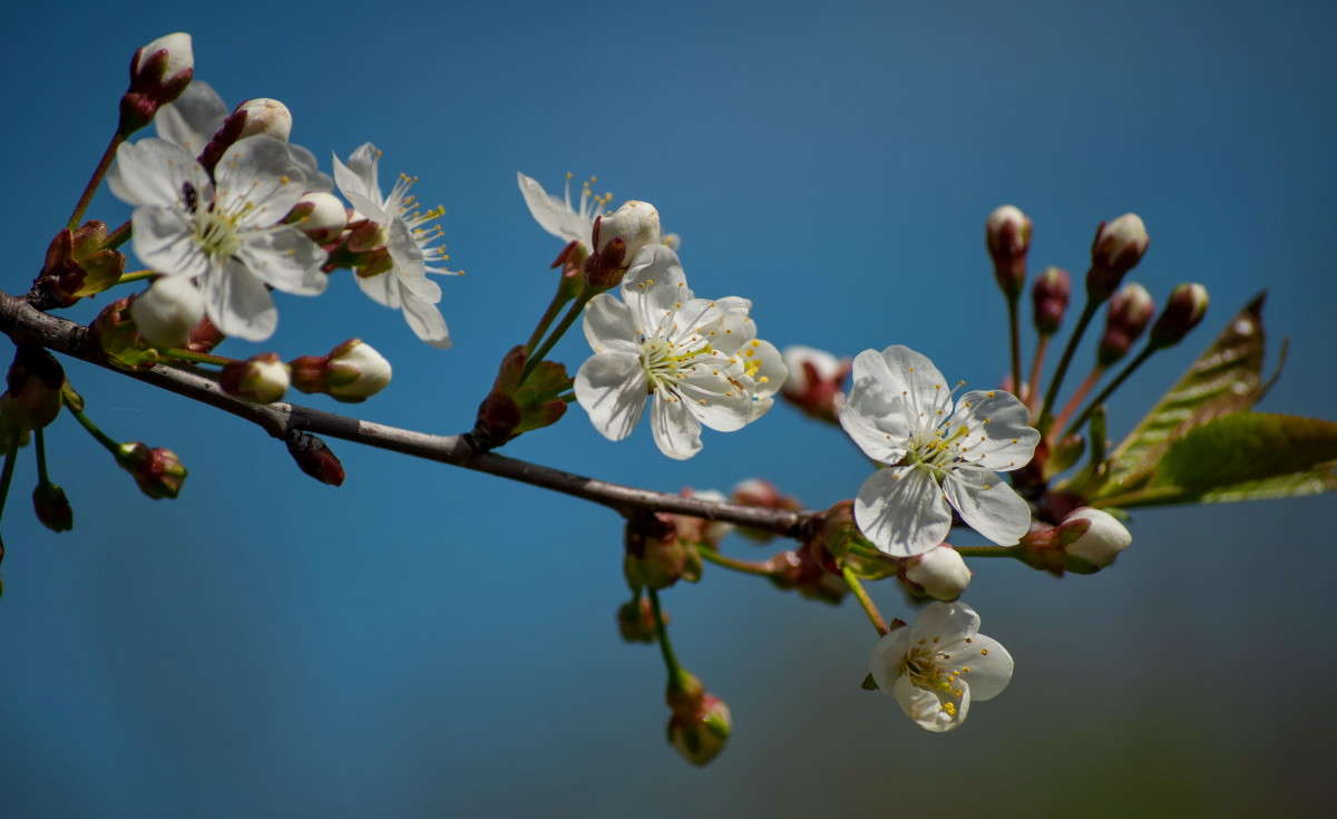 �������� ���� ����� �������� ���������� �� PhotoGeek.ru #������ ��� ������� #����� ��������������