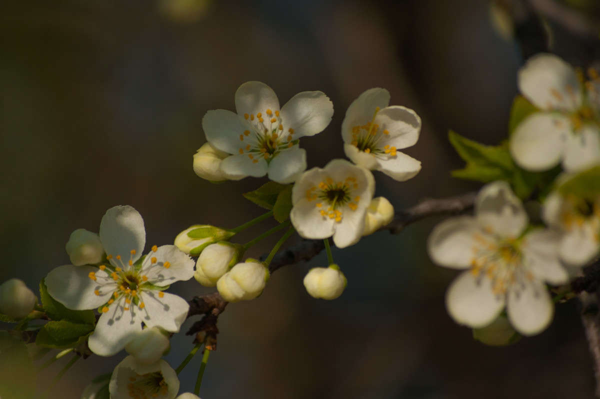 �������� �������� ����� �������� ���������� �� PhotoGeek.ru #������ ��� ������� #����� ��������������