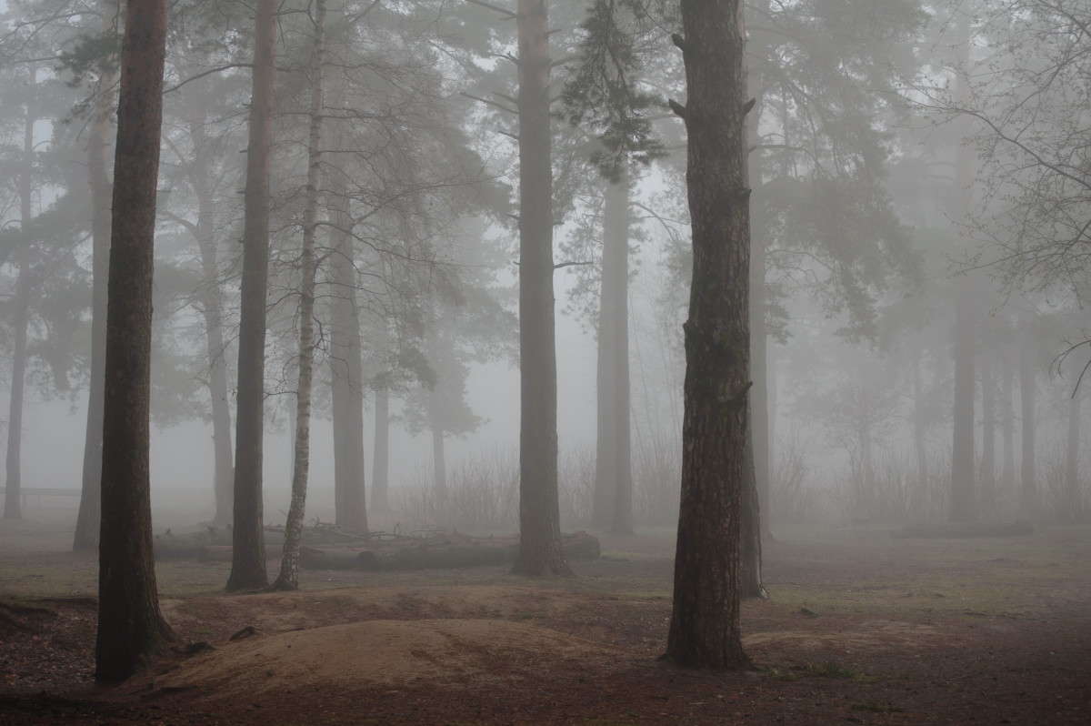 ������ ����� ����� �������� ���������� �� PhotoGeek.ru #������ ��� ������� #����� ��������������