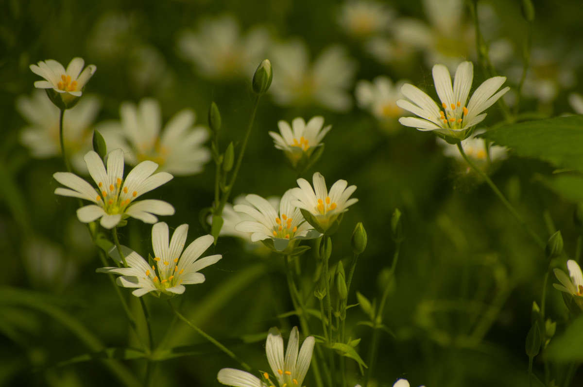 �� ����� "����� ��� ������" ����� �������� ���������� �� PhotoGeek.ru #������ ��� ������� #����� ��������������