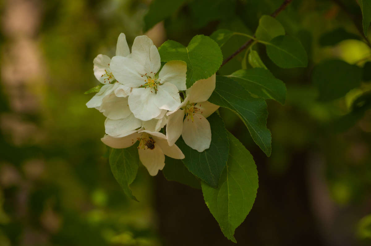 ����� �������� ����� �������� ���������� �� PhotoGeek.ru #������ ��� ������� #����� ��������������