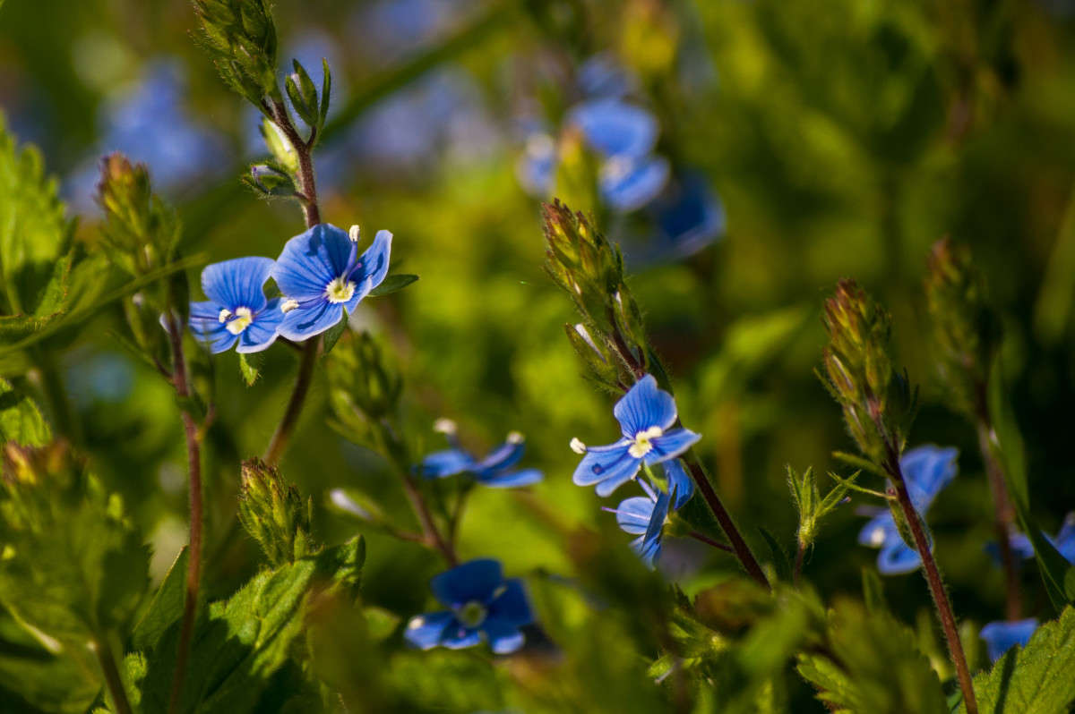 �� ����� "����� ��� ������" ����� �������� ���������� �� PhotoGeek.ru #������ ��� ������� #����� ��������������