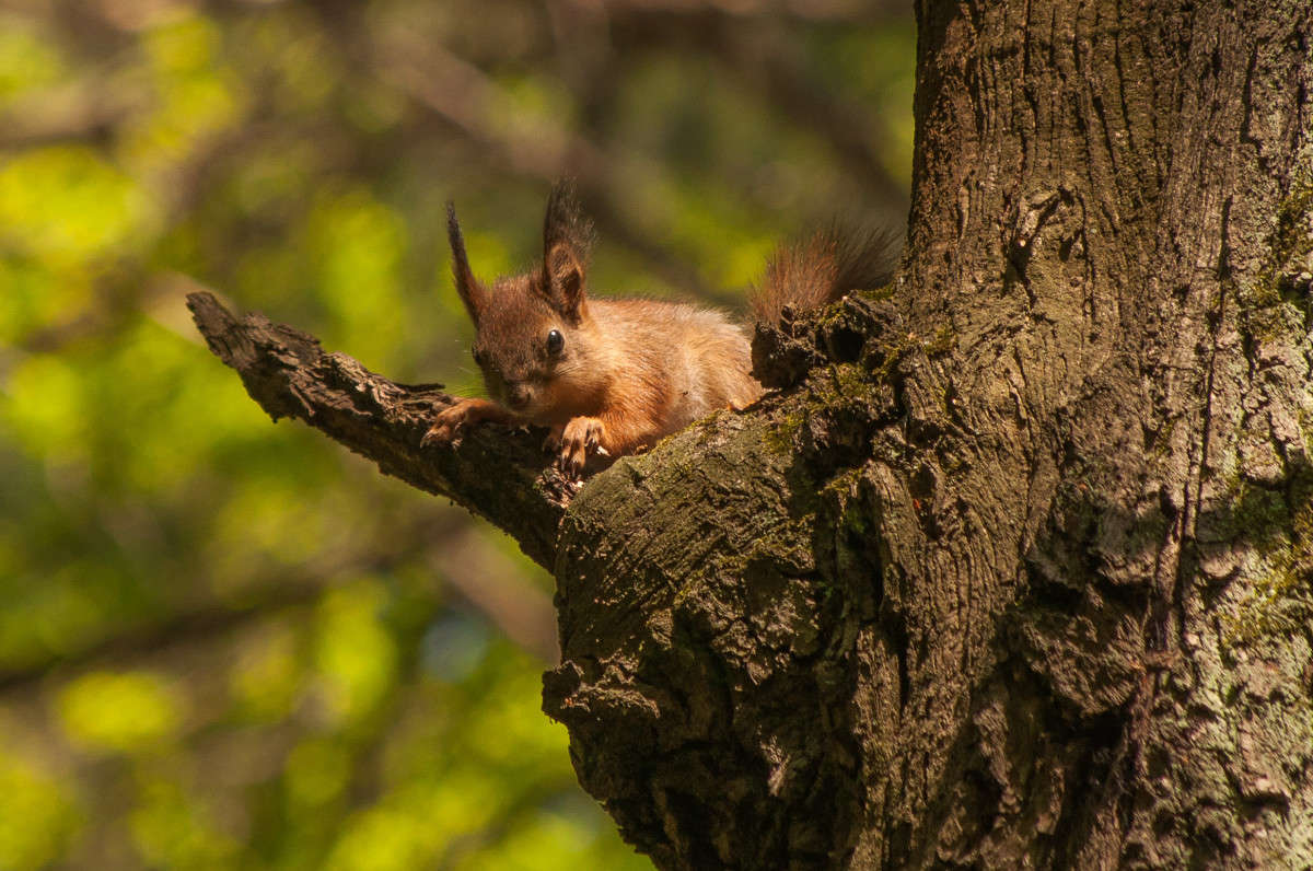 � ��� �� ��� �������? ����� �������� ���������� �� PhotoGeek.ru #�������� ��� #����� ��� ��� ���������