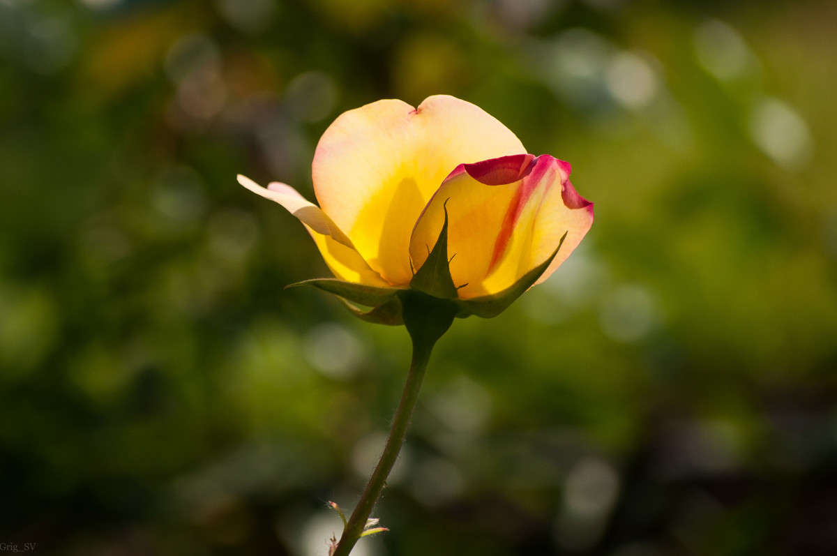 ��������� ������� ����� �������� ���������� �� PhotoGeek.ru #����� #����� ��������������