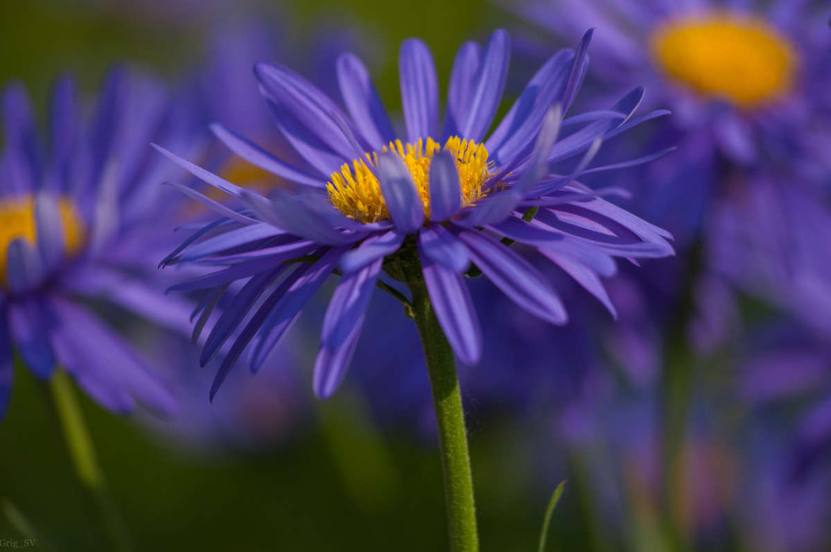 �������� ����� �������� ���������� �� PhotoGeek.ru #����� #����� �������������� #���� #�����