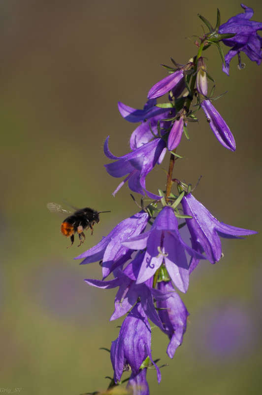 �� �������� ����� �������� ���������� �� PhotoGeek.ru #������ ��� ������� #����� ��������������