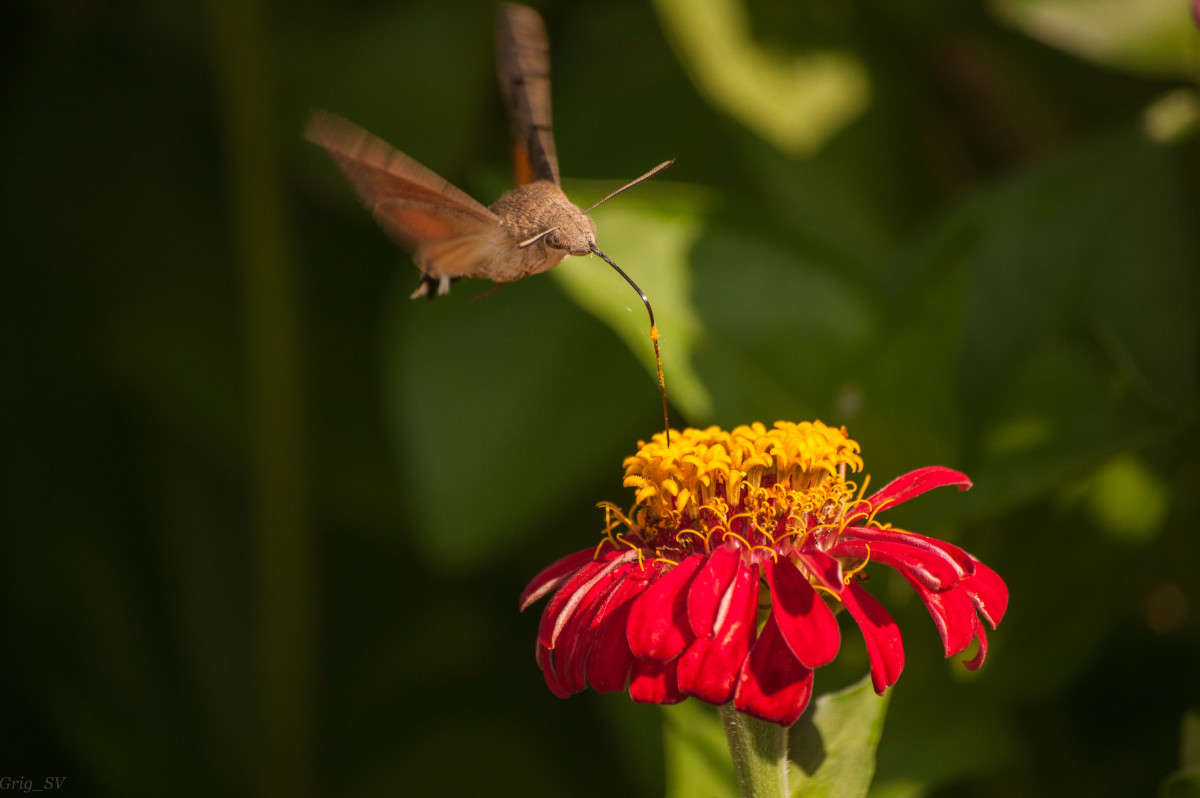 ������� ����� �������� ���������� �� PhotoGeek.ru #�������� ��� #����� ��� ��� ���������