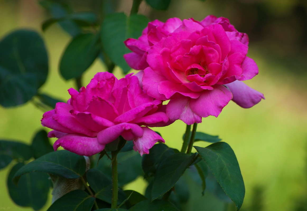 ���� ����� �������� ���������� �� PhotoGeek.ru #������ ��� ������� #����� ��������������