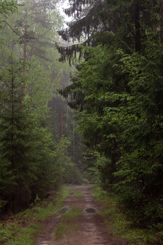 ����� ����� ����� �������� ���������� �� PhotoGeek.ru #������ ��� �������