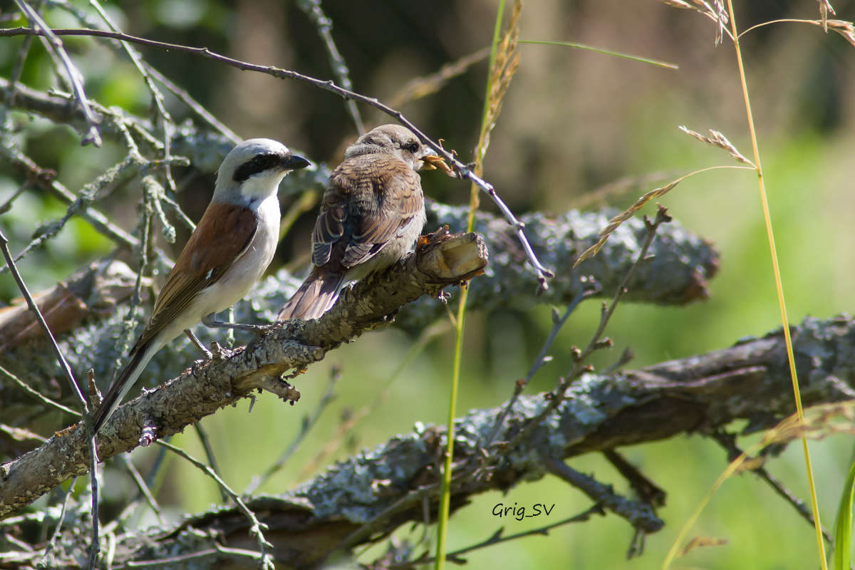 �������� ������ ����� �������� ���������� �� PhotoGeek.ru #�������� ��� #����� ��� ��� ���������