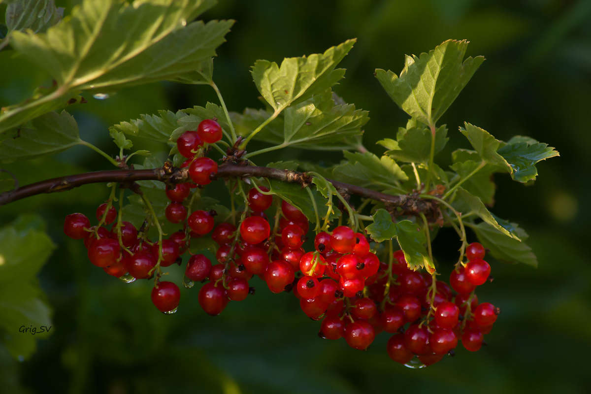 ��������� ����� �������� ���������� �� PhotoGeek.ru #������ ��� ������� #����� ��������������