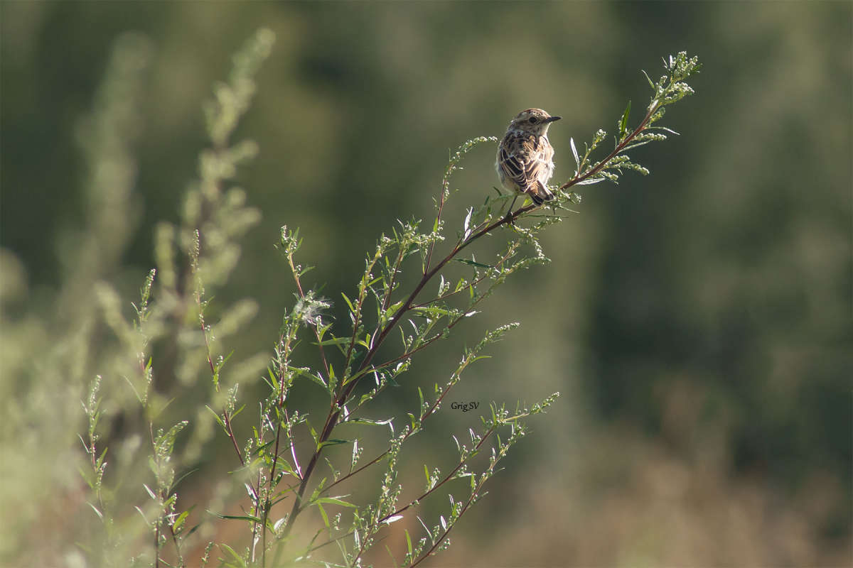 ������� ����� ����� �������� ���������� �� PhotoGeek.ru #�������� ��� #����� ��� ��� ���������