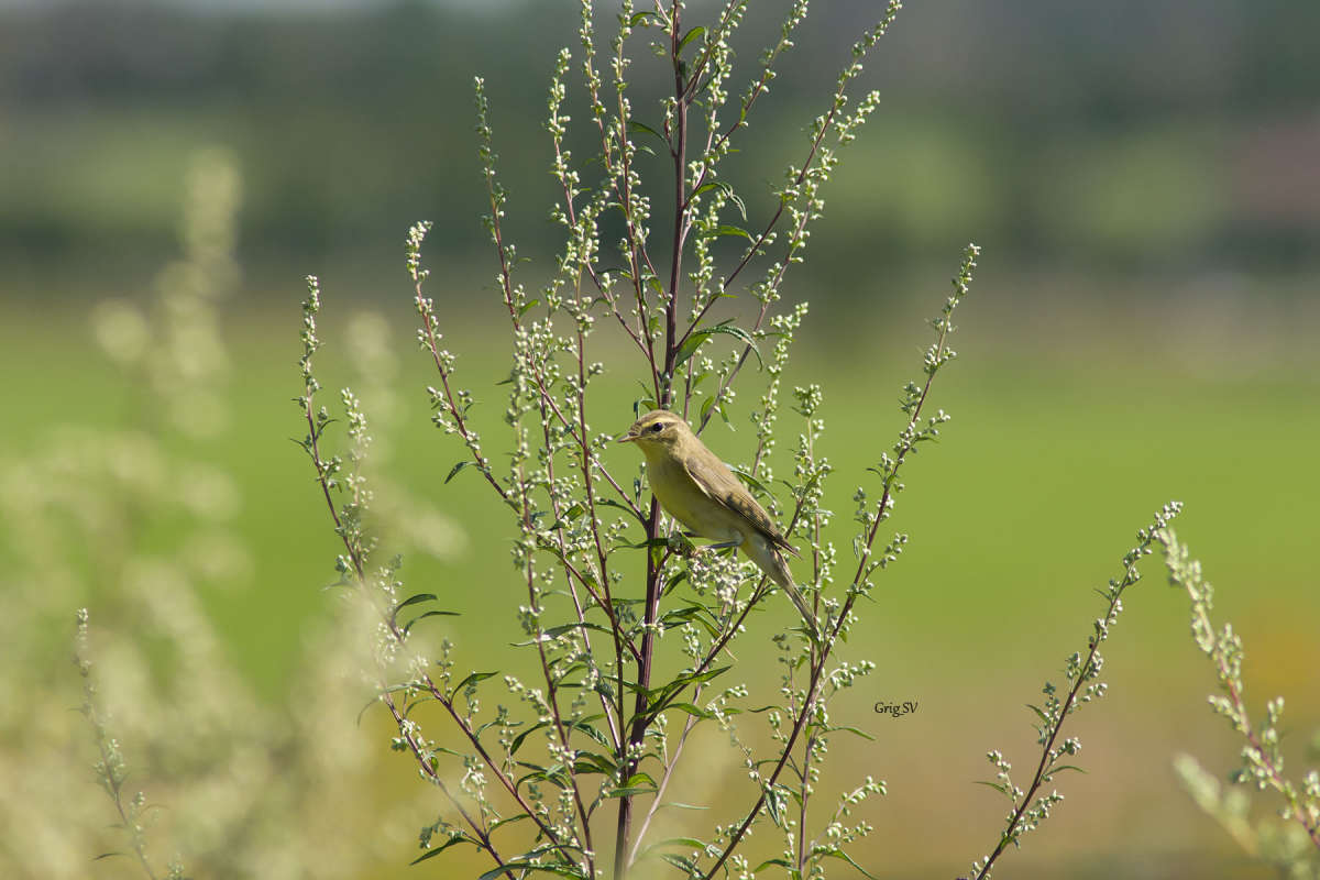 ������� ����� �������� ���������� �� PhotoGeek.ru #�������� ��� #����� ��� ��� ���������