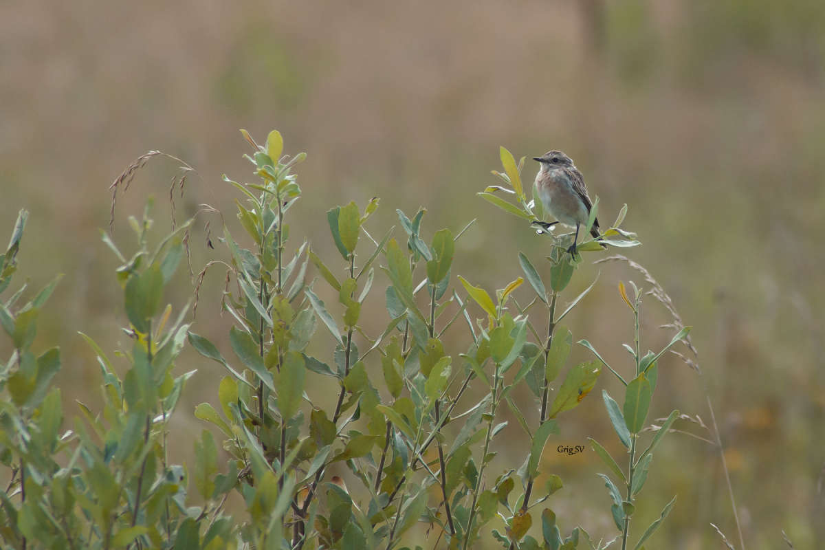 ����� ����� �������� ���������� �� PhotoGeek.ru #�������� ��� #����� ��� ��� ���������