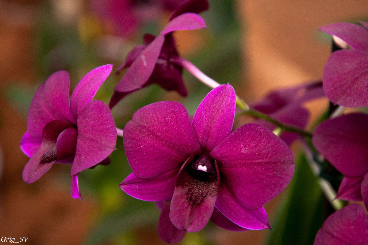 ������� ����� �������� ���������� �� PhotoGeek.ru #������ ��� ������� #����� ��������������