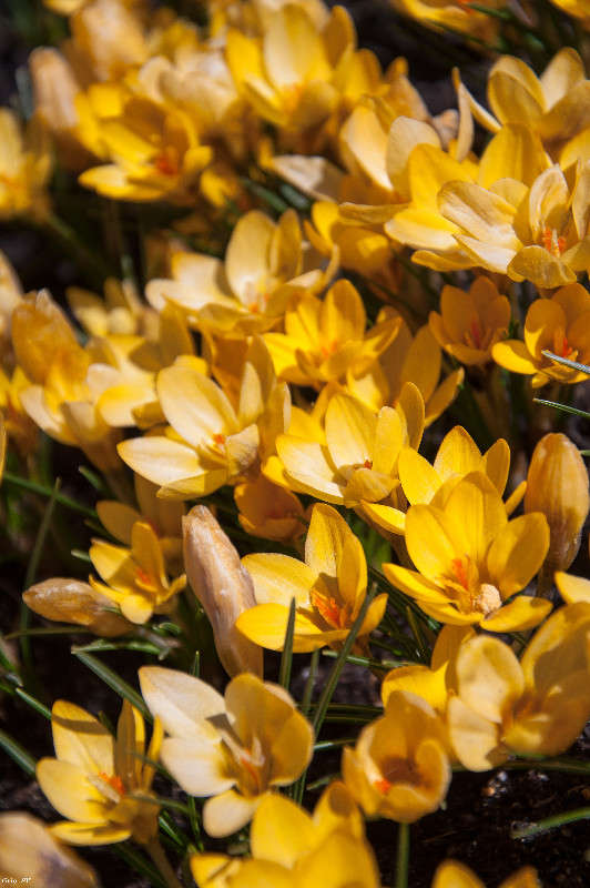 �������� ����� ����� �������� ���������� �� PhotoGeek.ru #������ ��� ������� #����� ��������������