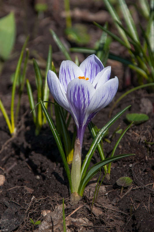 ������ ����� �������� ���������� �� PhotoGeek.ru #������ ��� ������� #����� ��������������