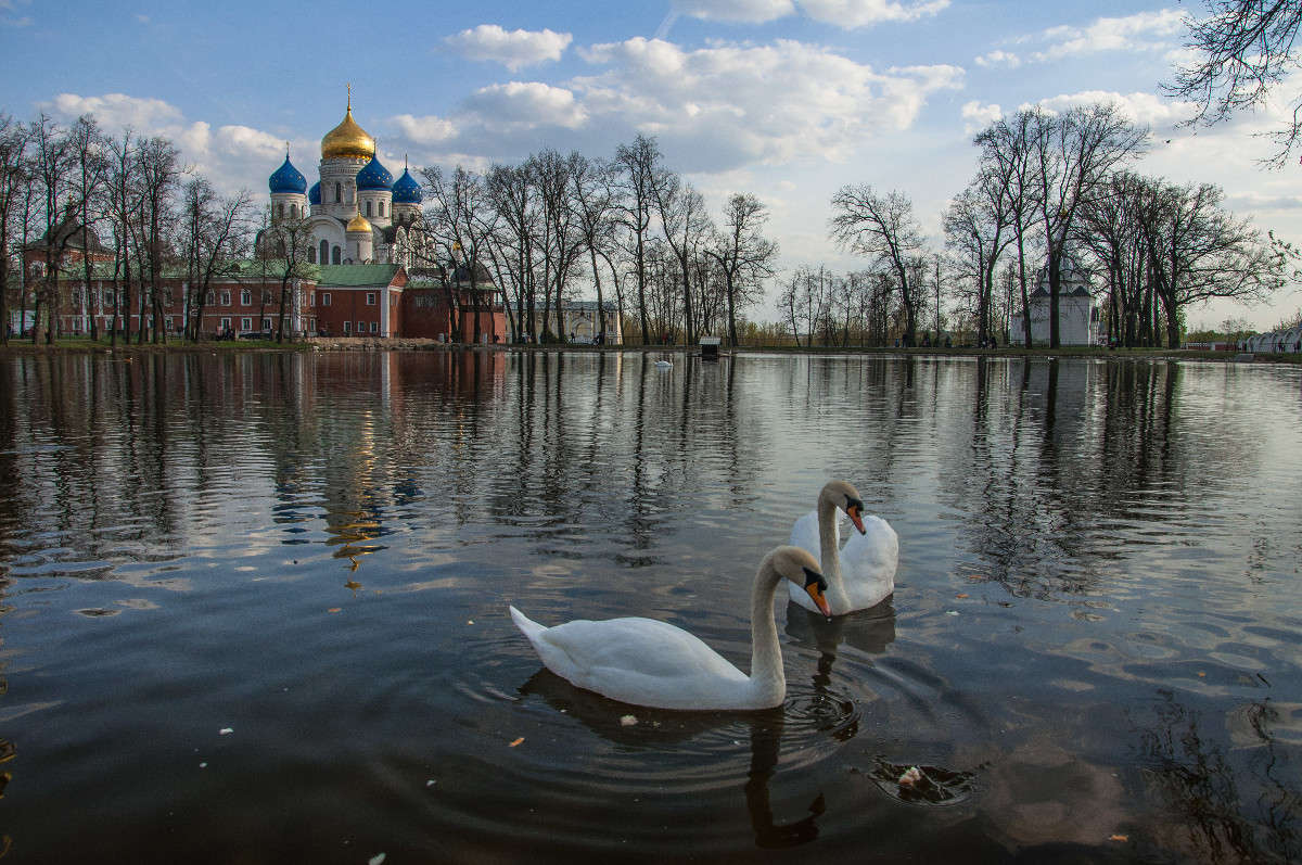 ������ �� ������������ ����� ����� �������� ���������� �� PhotoGeek.ru #�������� ��� #������ ��� �������