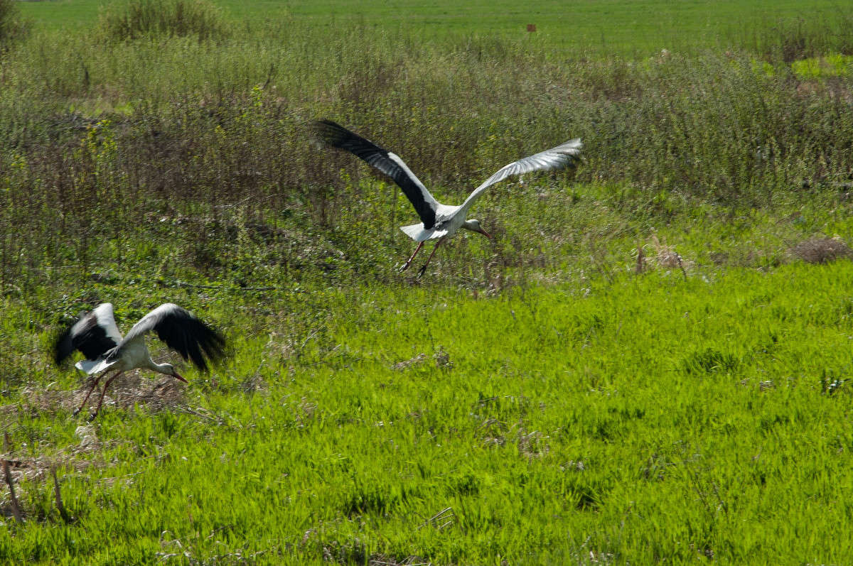 ����� ����� �������� ���������� �� PhotoGeek.ru #�������� ��� #����� ��� ��� ���������