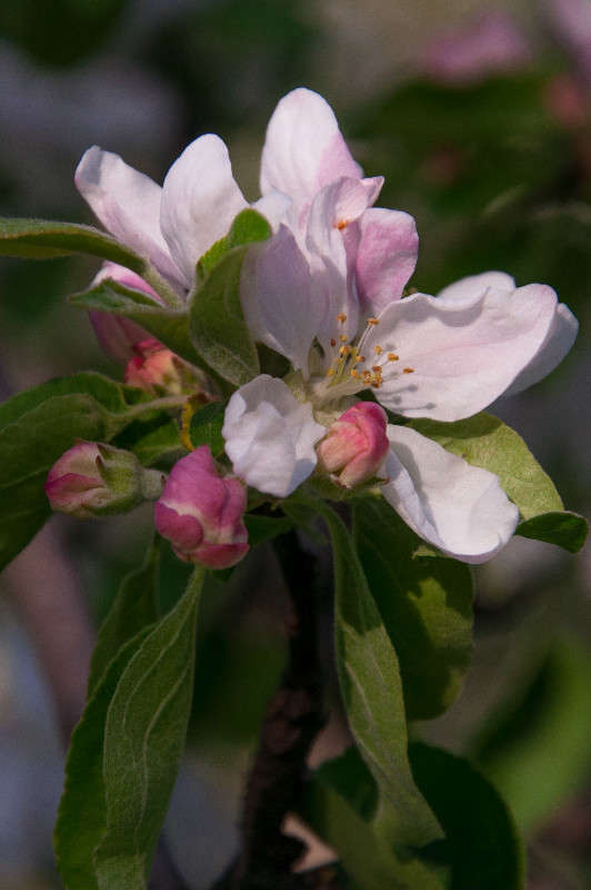 ��������� ���� ����� �������� ���������� �� PhotoGeek.ru #������ ��� ������� #����� ��������������