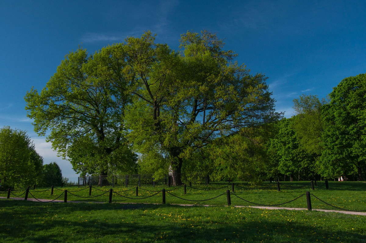 ��������� ���� ����� �������� ���������� �� PhotoGeek.ru #������ ��� ������� #����� ��������������