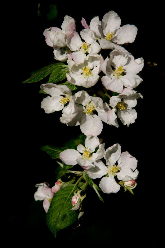 ����� ������ ����� �������� ���������� �� PhotoGeek.ru #������ ��� ������� #����� ��������������