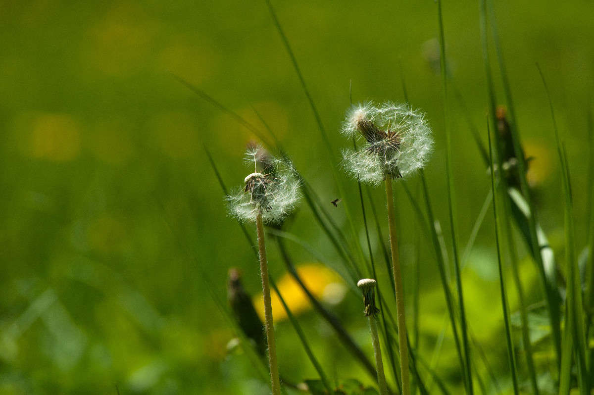 ����� ����� �������� ���������� �� PhotoGeek.ru #������ ��� �������